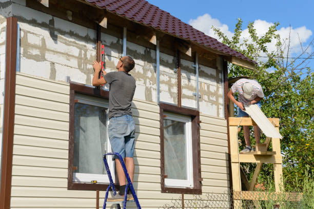 Best Historical Building Siding Restoration  in Edinburg, VA